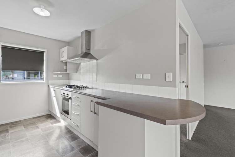 13a Greensboro Street Hamilton East_5