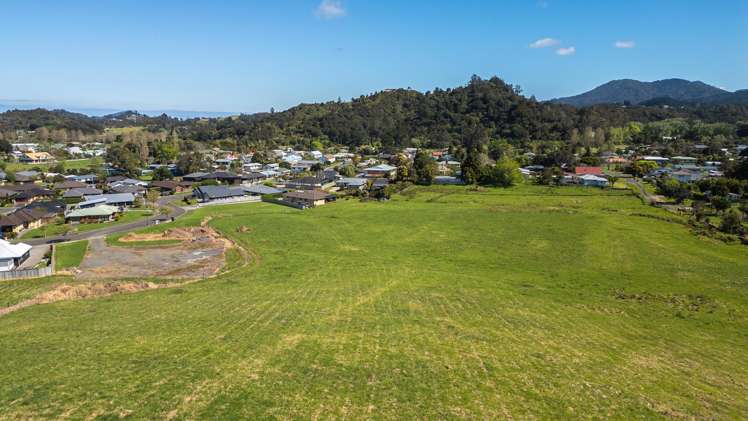 1 Albert Street Coromandel_5