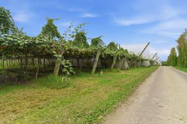 778 Maniatutu Road_1