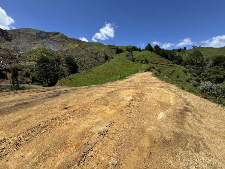 Lot 1 Brown Road Kawhia_15
