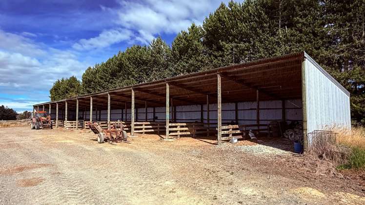 461 Chewings Road Mossburn_13