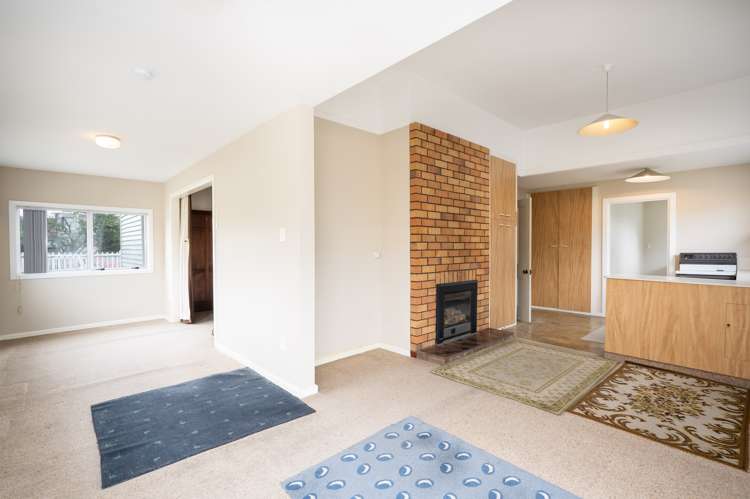 44 Hastings Street West Sydenham_10