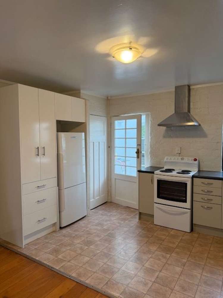 66 Old Mill Road Grey Lynn_8