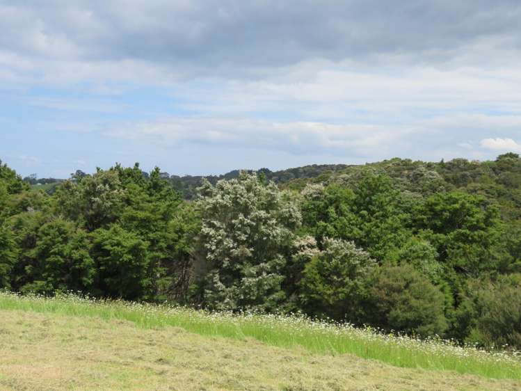 Pataua North Road Pataua_20