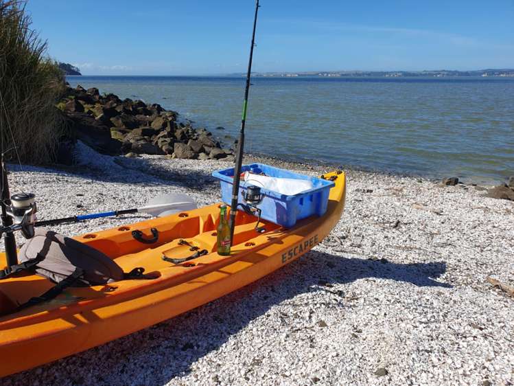 167 Summer Road Tinopai_32