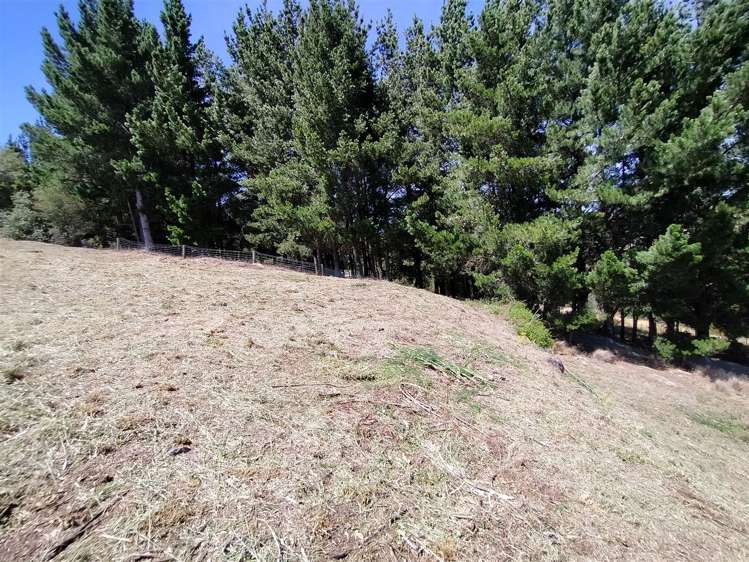 5 Postbridge Lane Huntsbury_6