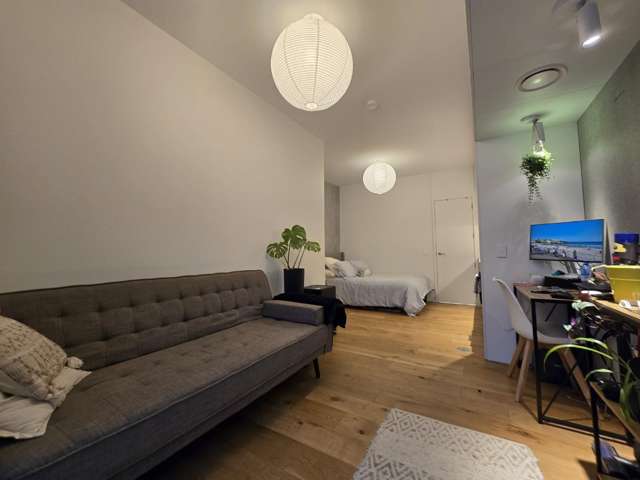 267B Willis Street 2185_3