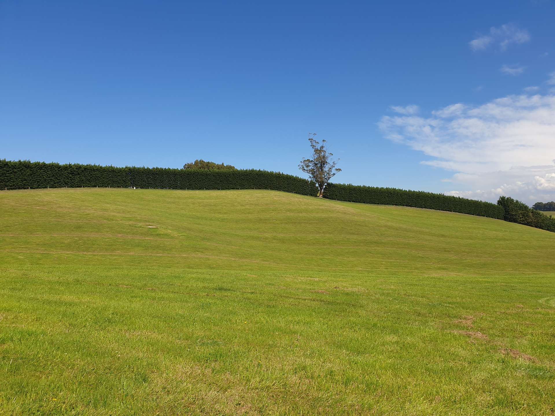 Ardgowan Road Oamaru_0