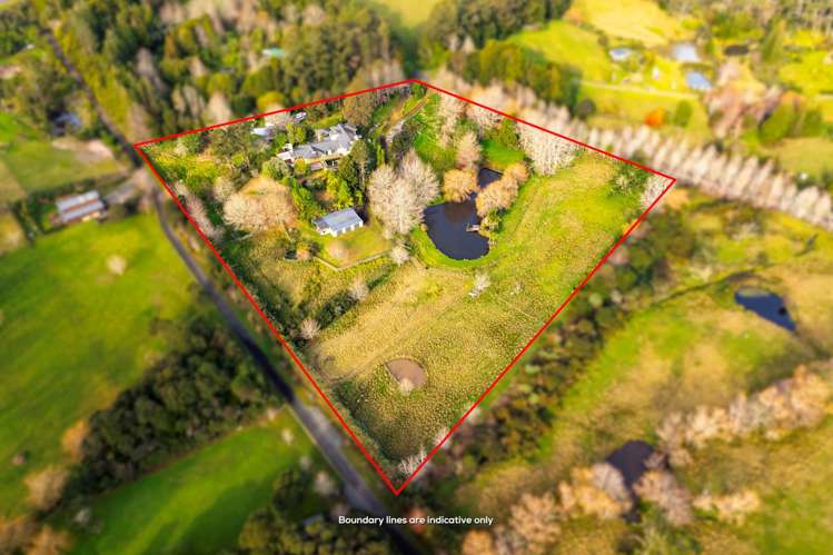 102 Kennedy Road Dairy Flat_8