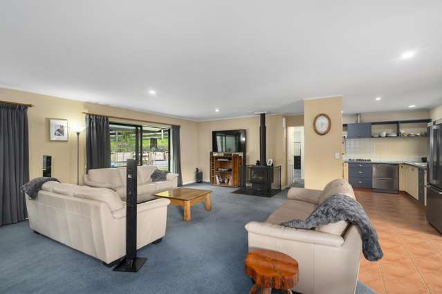 143 Youngson Road Whakamarama_3