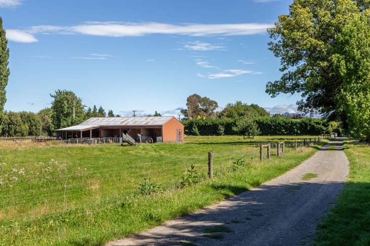 143 Culverden Road Culverden_15