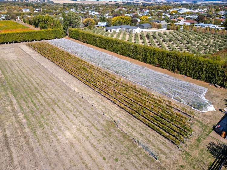 50 Princess Street Martinborough_26