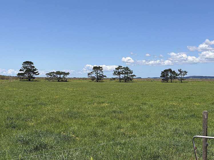 194 Whakatu Road Ruawai_6