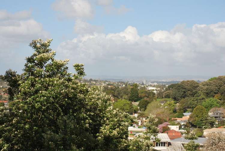 35c Warren Avenue Three Kings_17