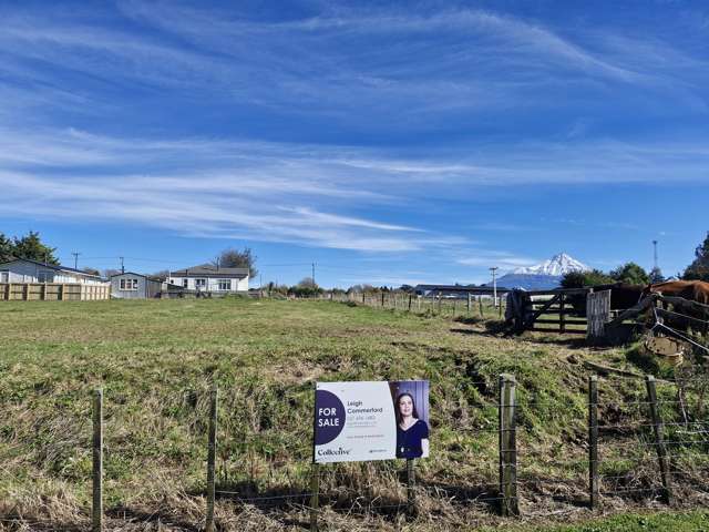 97 Ariel Street Stratford_3