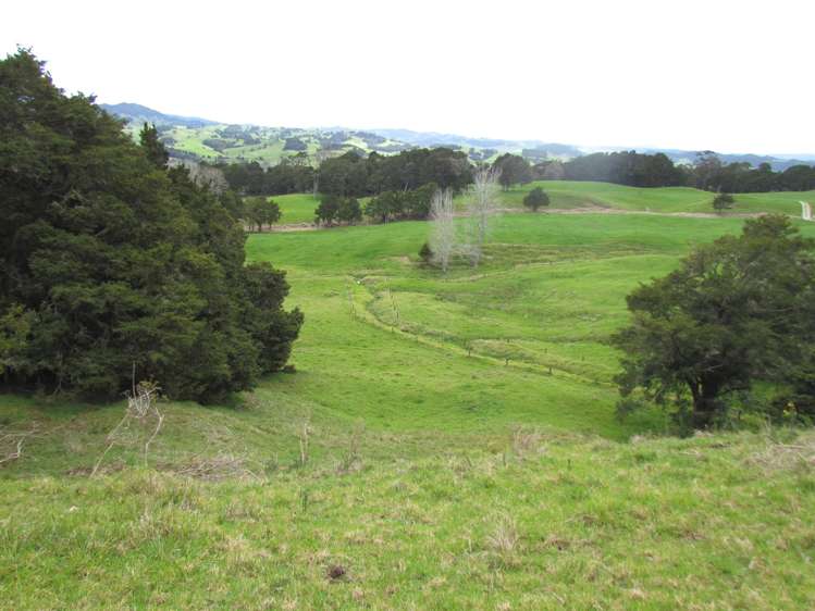 Tremain Road Ruatangata West_18