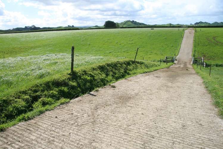 734 Bird Road Pukengahu_23