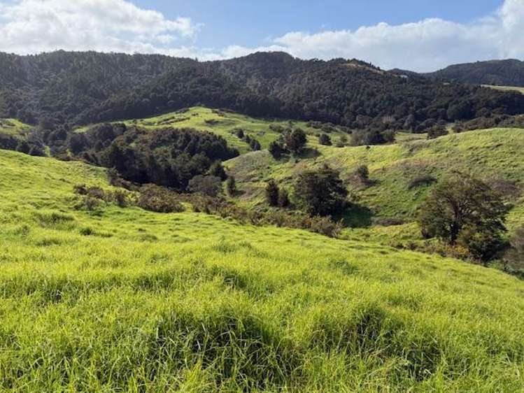 Lot 3/101 Brooklands Way Kaiwaka_13