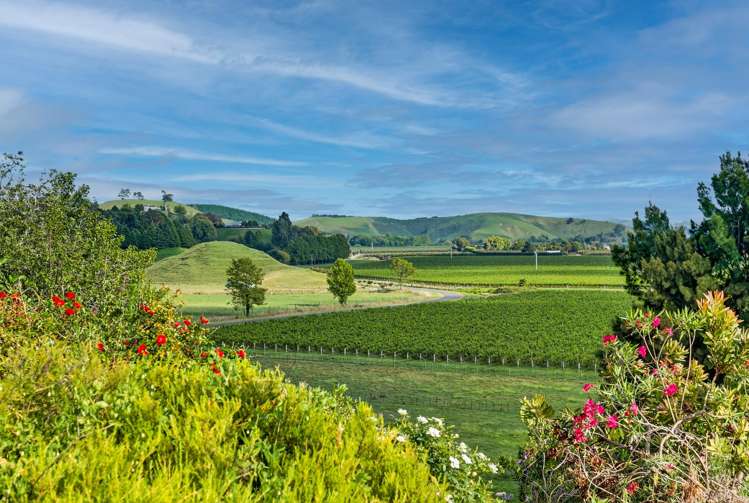 40 Strome Road Waiohiki_23