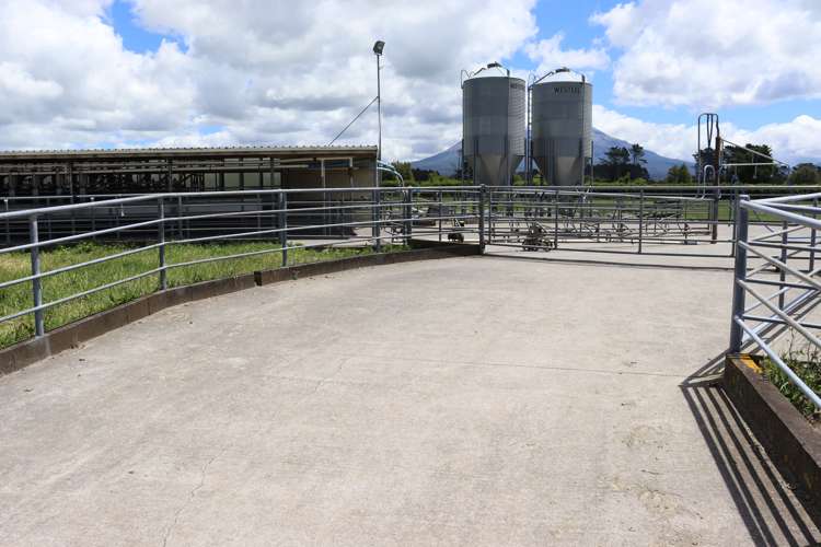 172 Radnor Road Midhirst_5