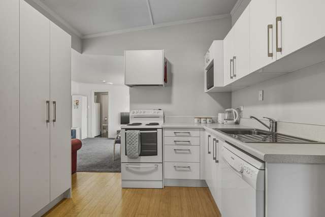 181 Leith Street North Dunedin_2