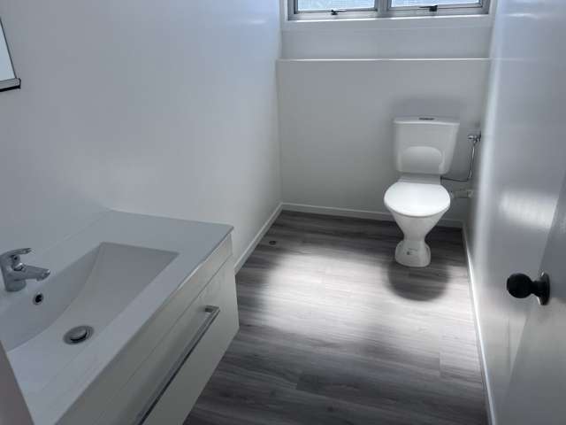 159 Maunganui Road Mount Maunganui_2