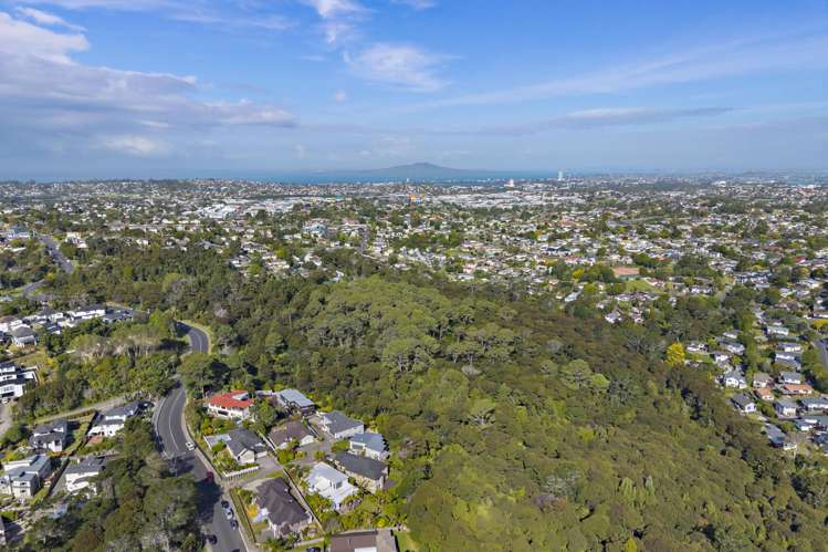 104 Glendhu Road Bayview_49