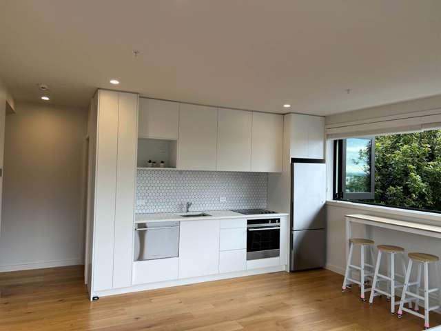 205/243 Kepa Road Mission Bay_3