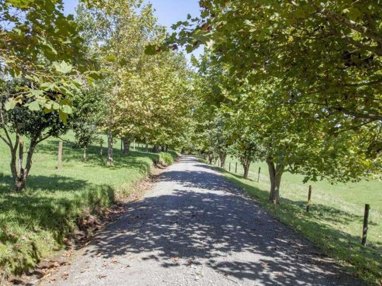 162g Whitipirorua Road Onemana_23