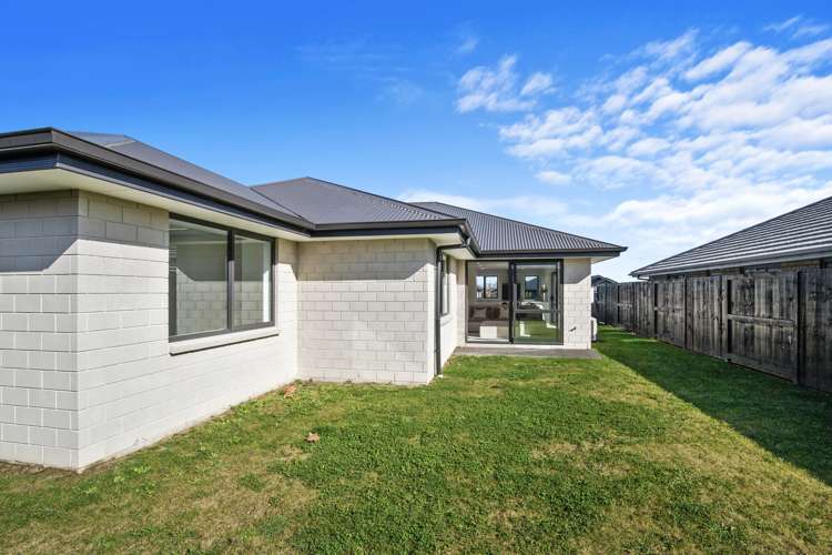 18 Harp Street Morrinsville_13