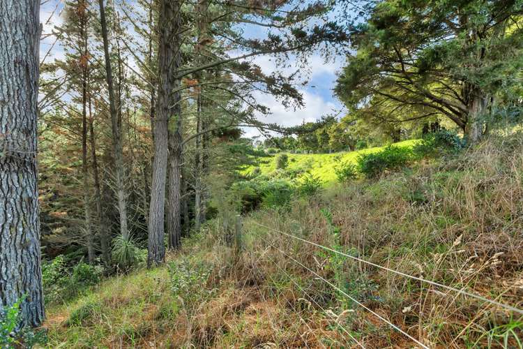 Campbell Road Parua Bay_13