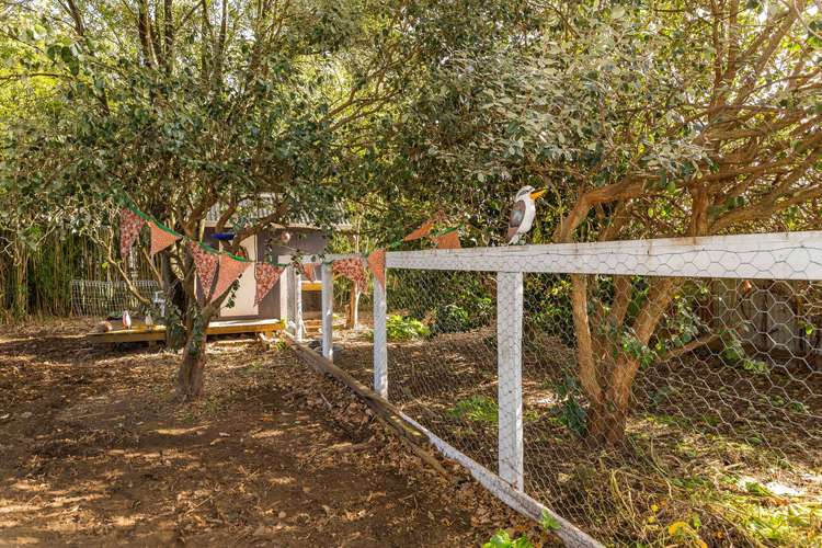 237 High Street Dannevirke_20