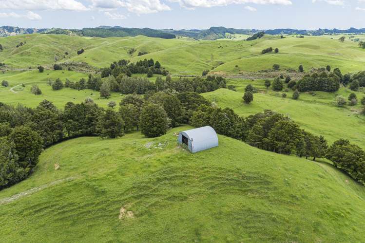 282 Taipuha Station Road Otamatea Surrounds_15