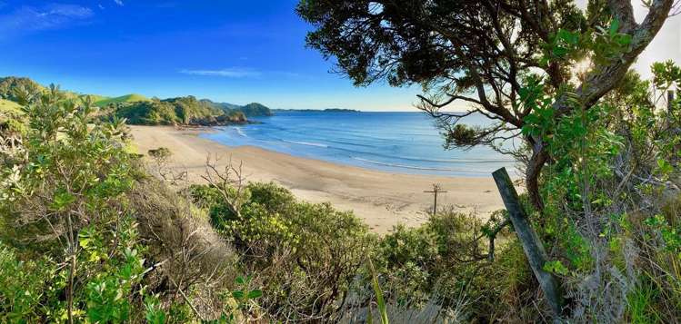 1303C Matapouri Road Matapouri_21