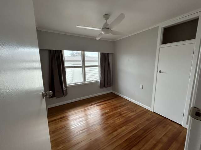 193 Studholme Street Morrinsville_4