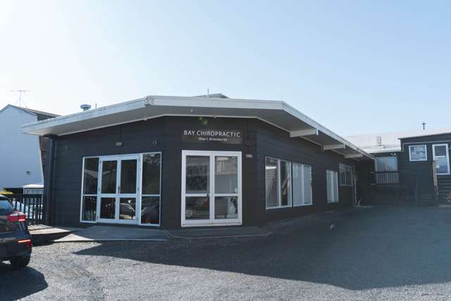 CENTRAL OFFICE, CLINIC OR STUDIO SPACE 