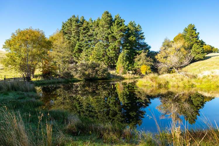 148 Mangatainoka Valley Road Eketahuna_20