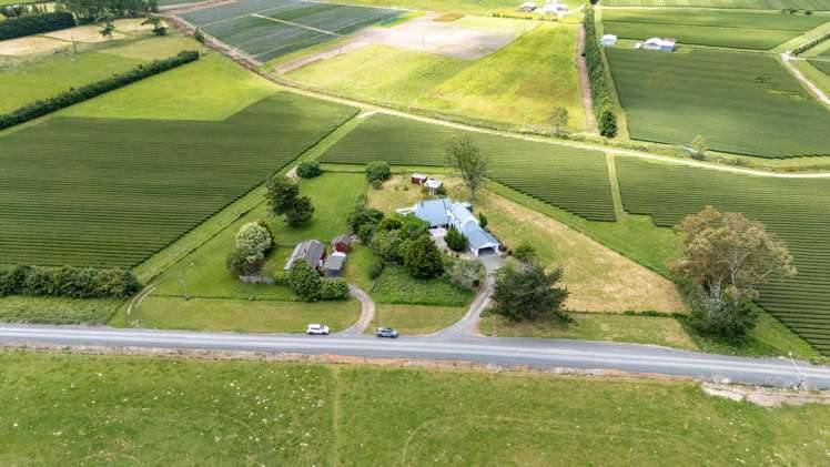 55 Boyd Road Gordonton_40