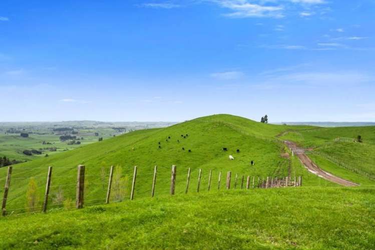 500 Tahuroa Road Tauwhare_41