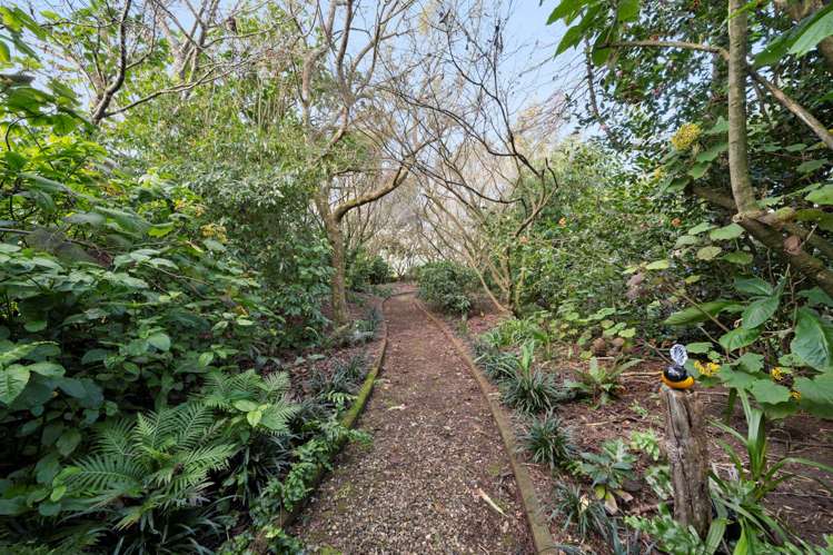 453A Glenbrook Beach Road Glenbrook_24