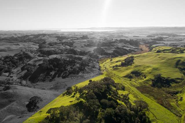 36 Goudie Road Helensville_2