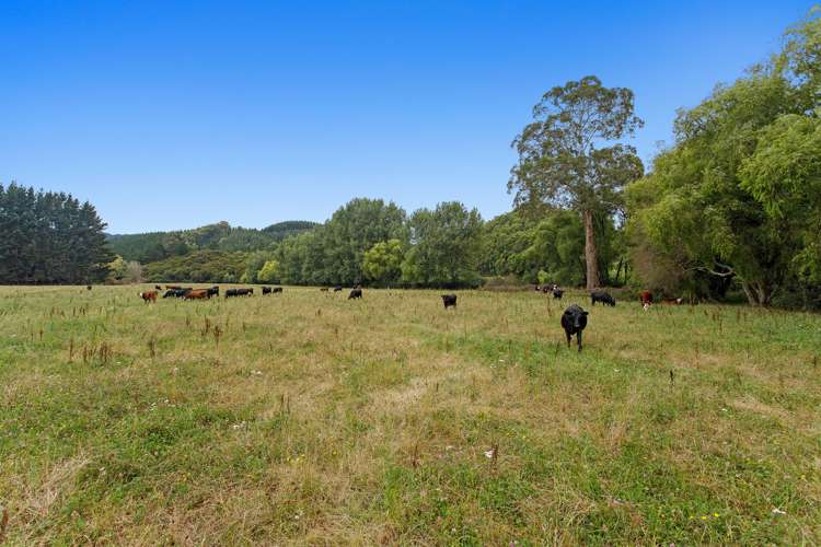 83a Paul Road Te Teko_11