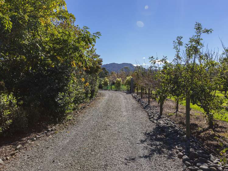 81 Omaha Flats Road Tawharanui Peninsula_19