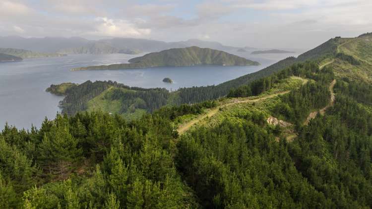 Arapaoa Island - Waikakaramea Bay Marlborough Sounds_8