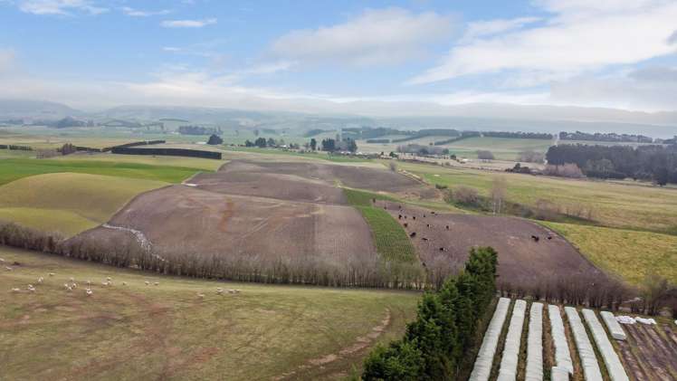 81 Waimotu Road Maheno_9