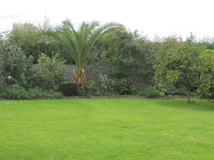 22 Nikau Place Matamata_16