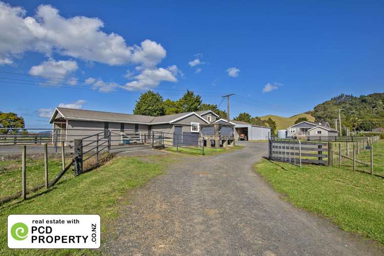 243 Harris Road Glenbervie_11