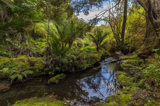 233 Ahuroa Valley Road Makarau_3