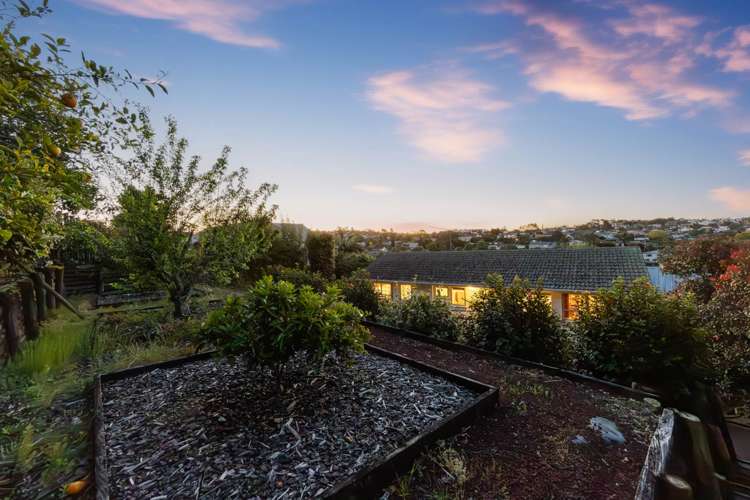 39 Squirrel Lane Browns Bay_21