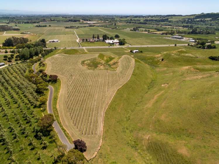 338 Te Mata Road Havelock North_2